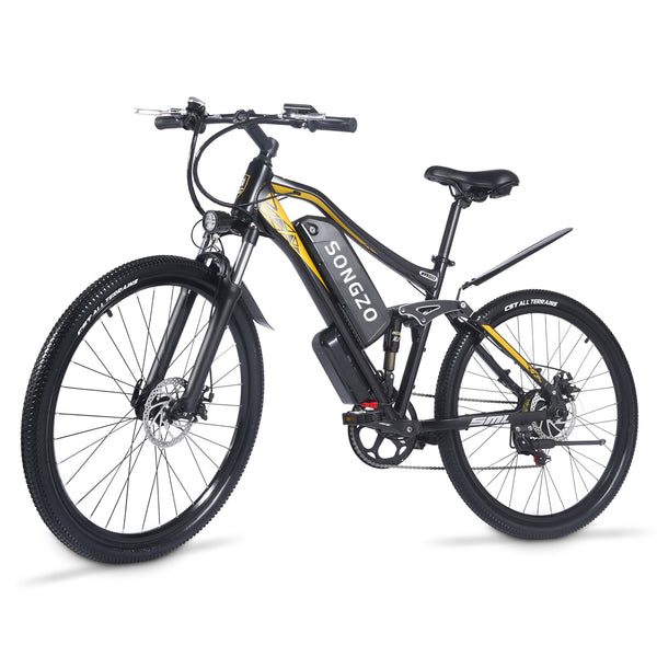 electric bike for adult